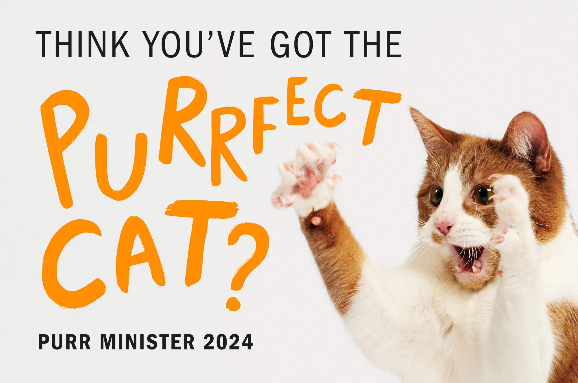 An image of a cat with the words, "Think you've got the purrfect cat? Purr Minister 2024"